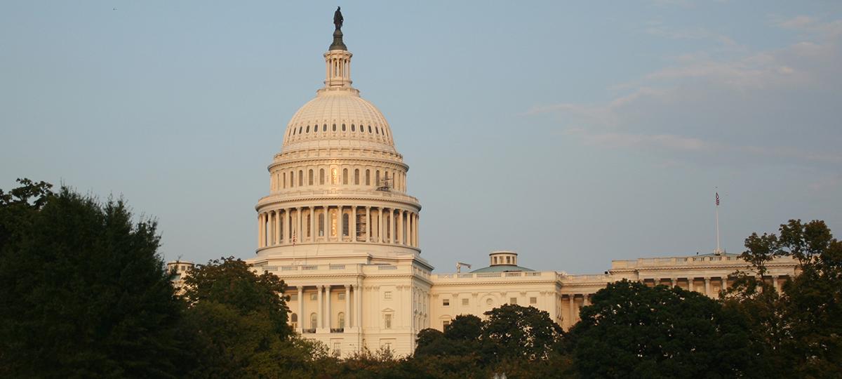 The US Capitol.