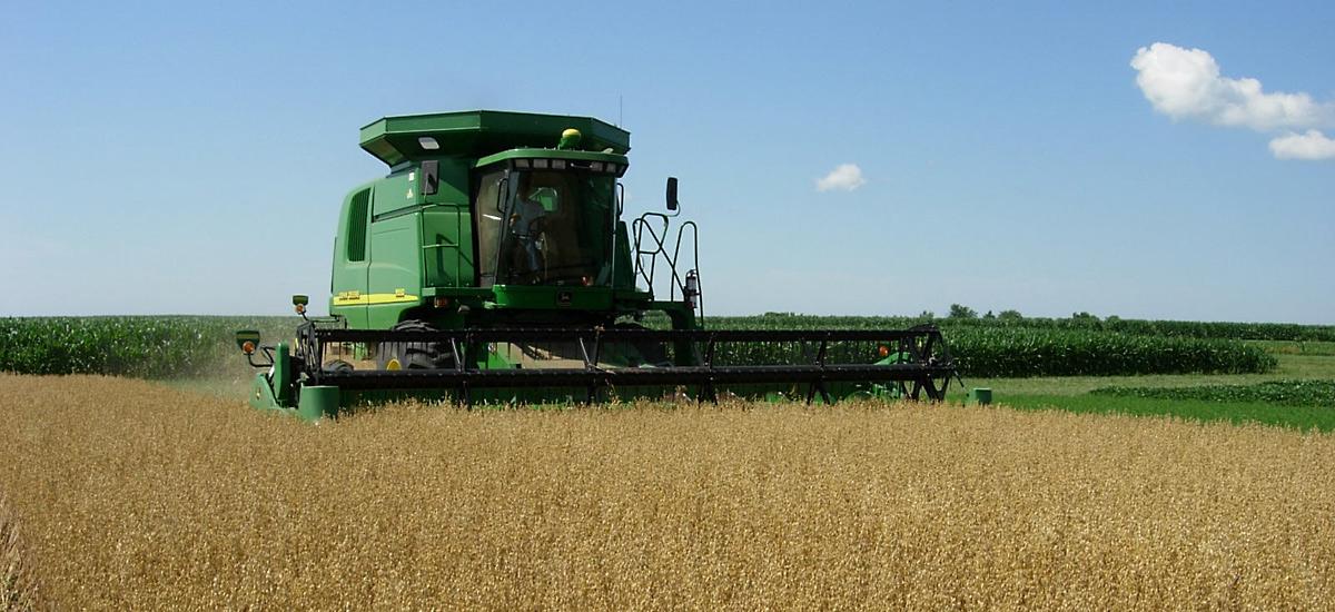 An oat harvester in a field.