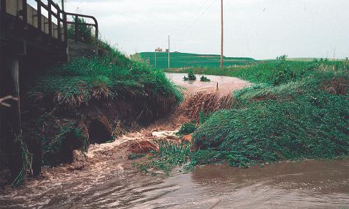 Runoff from an Iowa farm pouring into a stream